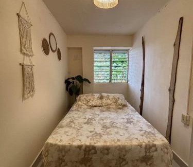 Las Cumbres Apartamento | The House in the woods