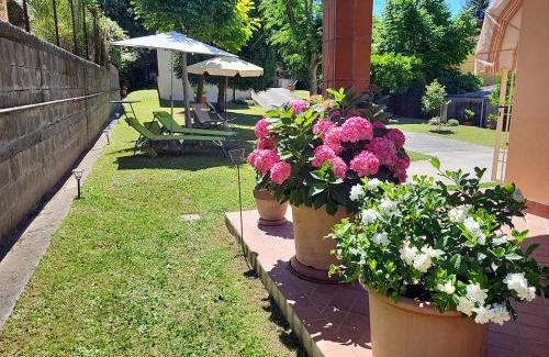Stiava Casa | The House of Citrus - amazing country house near Viareggio beach and Lucca