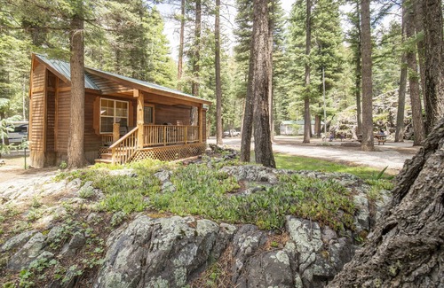 Bayfield Cabina | The Iris Cabin #1 Sum