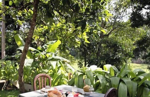 Cheena Kotuwa Cabina | The jungle Loft- Galle