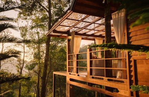 Doi Saket Complejo | The Jungle Touch