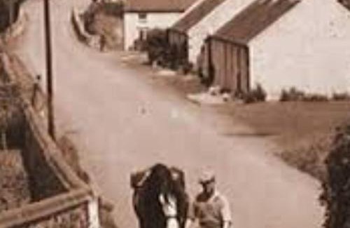 Newton Stewart Hotel | The Kenmuir Arms Hotel