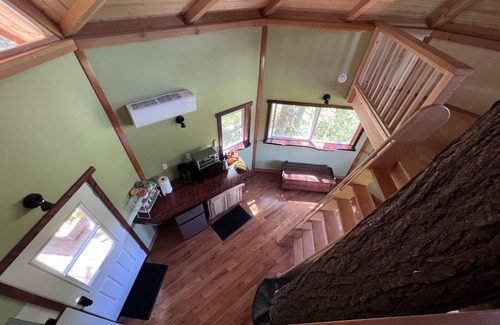 Cave Junction Cabina | The Kush Kabin! Deluxe treehouse on legal cannabis farm.