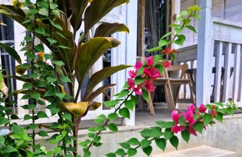 Penida Island Casa | The Layar Homestay