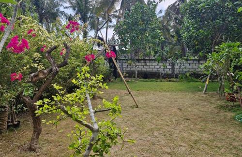 Penida Island Casa | The Layar Homestay