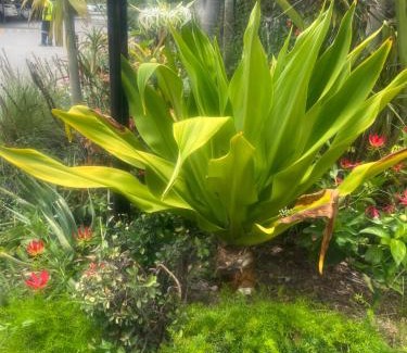 Emalahleni Apartamento | The light guesthouse
