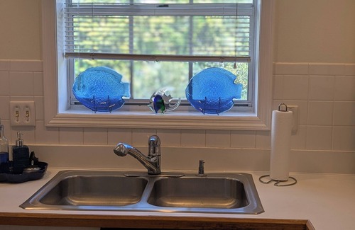 Lutz Condominio | The Lighthouse 1 bedroom Pet friendly
