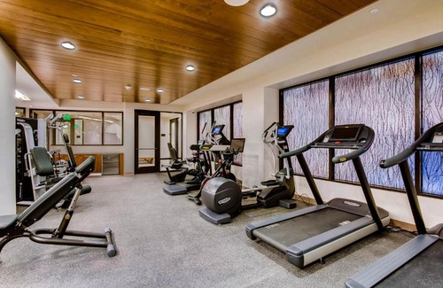 Vail Hotel | The Lion Vail