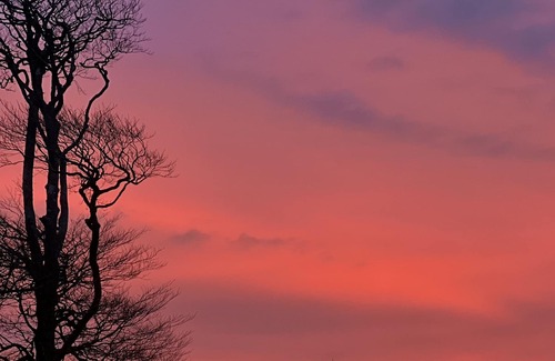 Bideford Casa | The Little Beeches. North Devon - best of coast and country