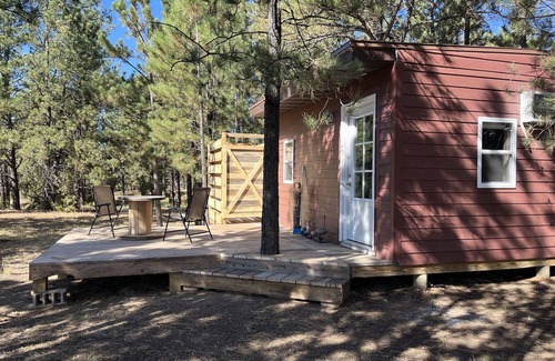 Edgemont Cabina | The little cabin in the woods! Nearby great trails and hunting!