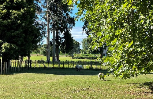 Pukemoremore Casa | The Little House is in a rural setting 8 minutes to Cambridge.
