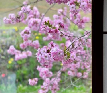 Toyako Villa | The Lobs, Lake Toya "former Yellow House by Lake Toya"