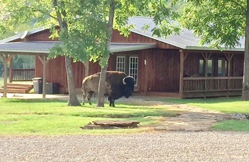 Stilwell Cabina | The lodge at the 4300 acre Hunt Mill Hollow Ranch is a wildlife destination.