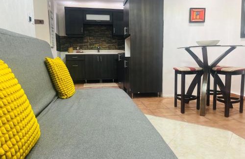 Gobernador Pinero Apartamento | The Loft in San Juan