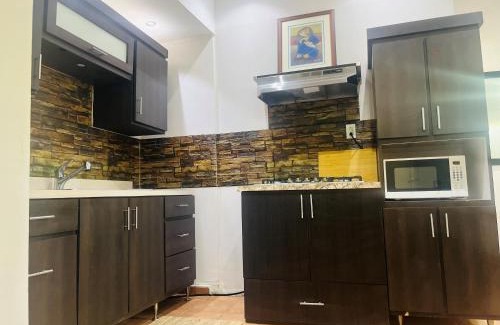 Gobernador Pinero Apartamento | The Loft in San Juan