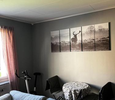 Saffle Municipality Apartamento | The Lugnadalsgatan 3, 66131 Säffle welcomes you!