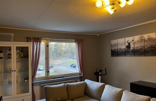 Saffle Municipality Apartamento | The Lugnadalsgatan 3, 66131 Säffle welcomes you!