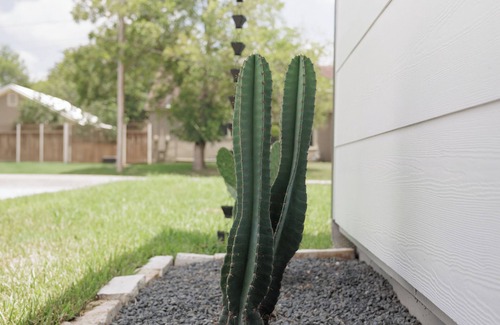 Cuero Casa | The Main St House-Charming 2-bedroom home, fitness room in peaceful Cuero
