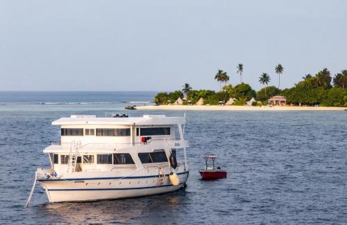Laamu Atoll Complejo | The MAVERICK SURF AND DIVE BOUTIQUE HOTEL - Book 10 Nights and get 1 Free Night - Free Speed Boat Service - Kids Stay Free