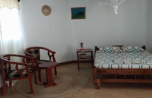 Arusha Region Hotel | The Meserani Oasis Lodge
