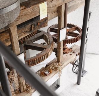 Belsele Casa | The Millhouse