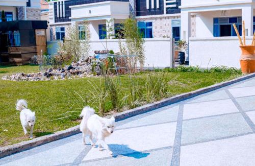 Gisenyi Apartamento | The Moon Geust House