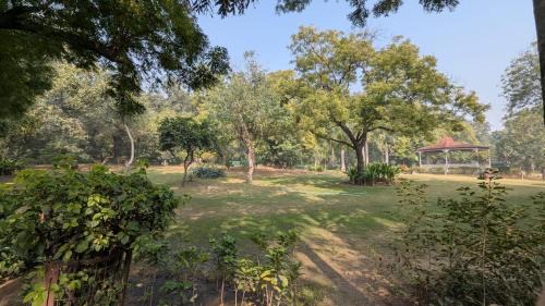 Nehru Place Apartamento | The Morning Mist Serviced Apt Cook Nature