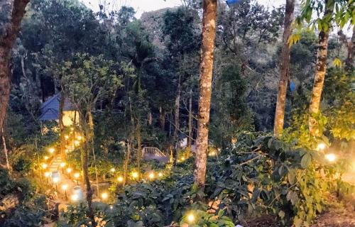 Madikeri Hotel | The Mountain Shades Resort