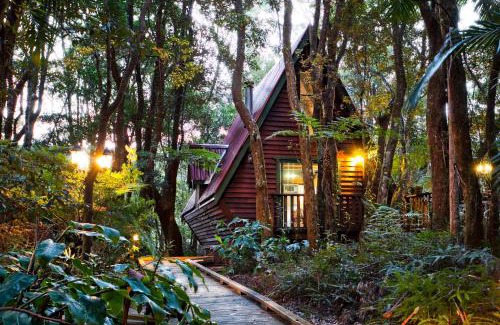 Springbrook Cabina | The Mouses House Rainforest Retreat
