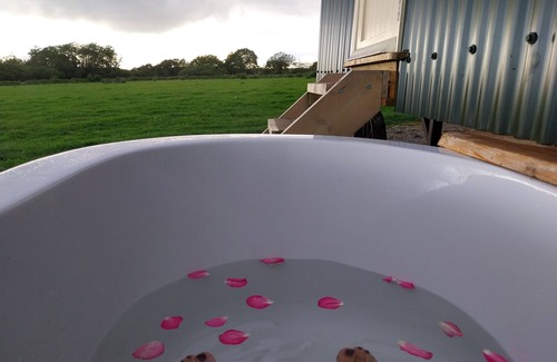 Pentrefelin Cabina | The Musterer's Hut, Outdoor Bath & Valley View