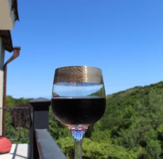 Sighnaghi Apartamento | The nature