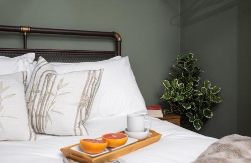 The King's Mile Casa | The Nest Canterbury -Central-Ultra WIFI