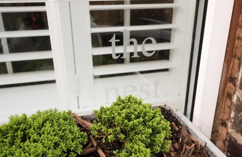Malvern Casa | The Nest