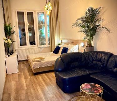 Erzsebetvaros Apartamento | The Nest Inn Budapest -Studio with AC