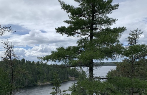 Northern Ontario Cabaña | The Nest - Modern 3 Bedroom Cottage with Bunkie