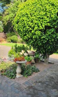 Randpark Ridge Casa | The Nest