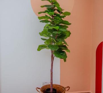 Upanga West Apartamento | The Notch