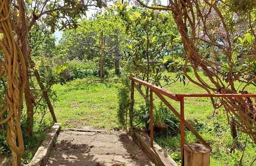 Paola Apartamento | The Oaks (triple)