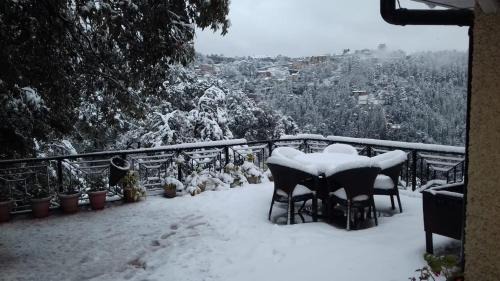 Shimla Hotel | The Oaktree House