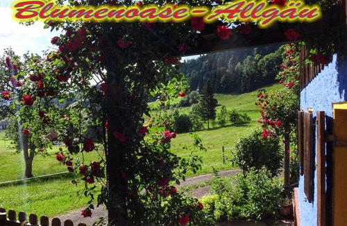 Schwanden Apartamento | Arrive El oasis entre Oberstdorf y Oberstaufen arrive ♥ llega - siéntase bien ♥