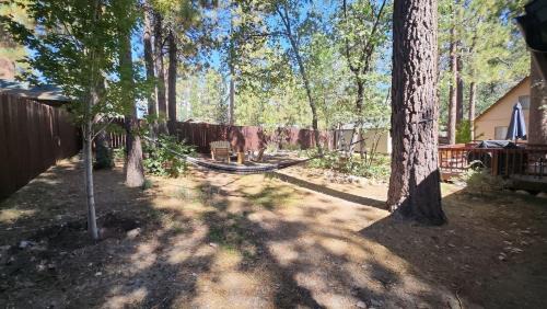 The Village Chalet De Esquí | The Oasis Chalet - Walking distance to The Village, The Lake, and Alpine Slide!