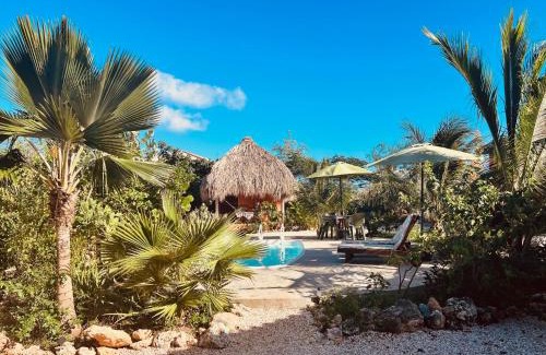 Boka Sami Cama Y Desayuno | The Octopus Tropical Oasis