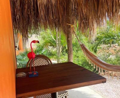 Boka Sami Cama Y Desayuno | The Octopus Tropical Oasis