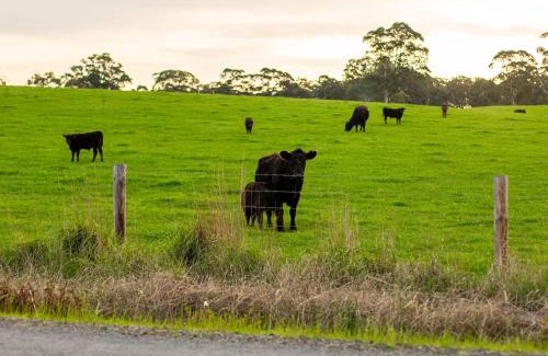 Talunga Casa | The Old Farm Cottage, Mount Torrens