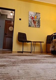 Gheorgheni Apartamento | The Old Flower