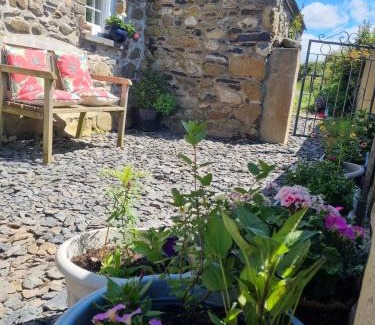 Goodwick Casa | The Old Vestry - pet friendly!
