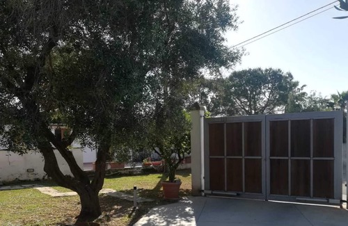Galatina Villa | El huerto de los olivos