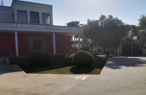 Galatina Villa | El huerto de los olivos