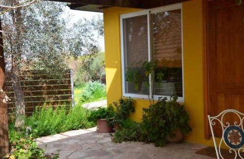 Tsafririm Cabina | The OLive Tree