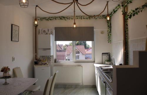 Tasnad Apartamento | The One Apartments